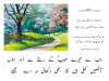 jb sy try habib ky.png