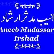 Aneeb Mudassar